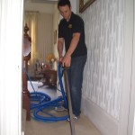 Professional Clean of a Domestic Carpet