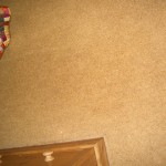 Unstained Beige Carpet